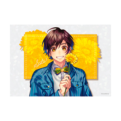 Honeyworks オフィシャル グッズ通販 商品詳細 告白実行委員会キャラクター人気投票21セット 第3位 望月蒼太