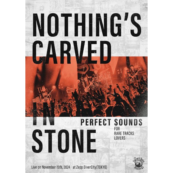 DVDPerfect Sounds -For Rare Tracks Lovers-